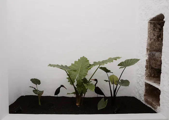 Casa Mercade Apartamento