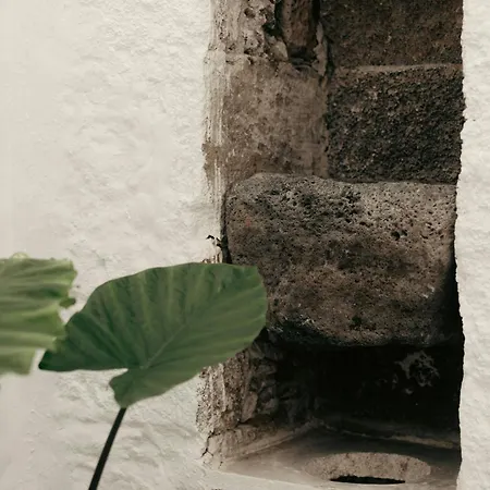 Casa Mercade