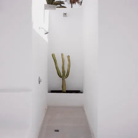 Casa Mercade